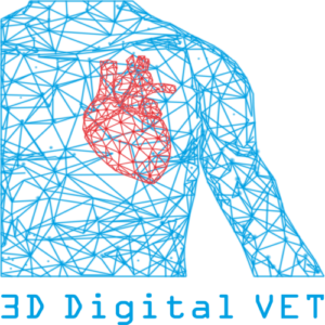3D Digital VET